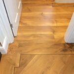 IMG-20220302-WA0071 (1)